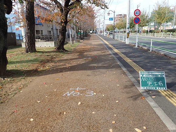 写真：昭和公園園路改修工事　施工前